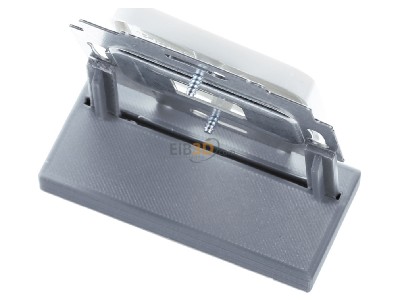 Ansicht oben hinten Busch Jaeger 2561-214 Zentralscheibe aws fr 1 Modular Jack 