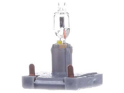 Front view Busch Jaeger 8338-1 Illumination for switching devices 
