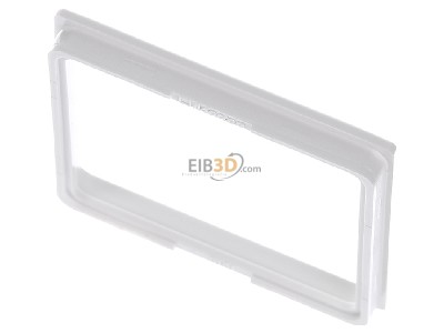 Top rear view Merten 518119 Plate 
