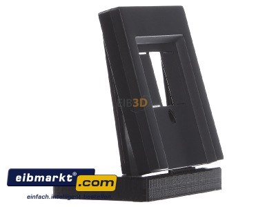Ansicht links Merten 297914 Zentralplatte anth f�r TAE-Dose 