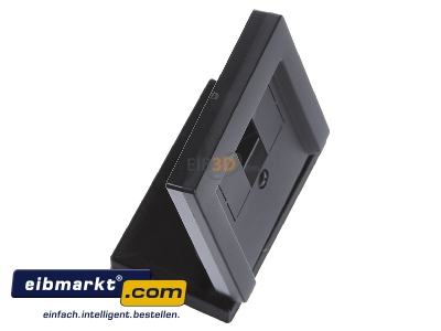Ansicht oben links Merten 297914 Zentralplatte anth f�r TAE-Dose 
