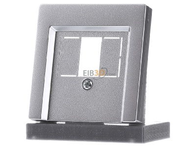 Frontansicht Merten 297960 Zentralplatte alu f�r TAE-Dose 