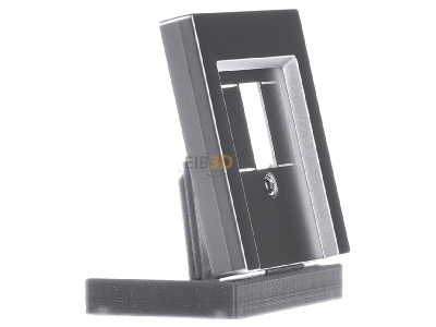 Ansicht links Merten 297960 Zentralplatte alu f�r TAE-Dose 