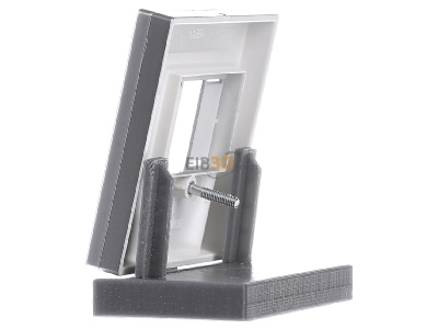 Ansicht rechts Merten 297960 Zentralplatte alu f�r TAE-Dose 