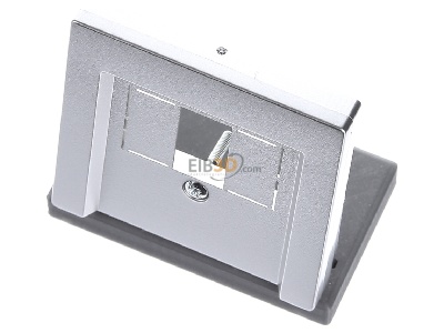 View up front Merten 297960 Central cover plate TAE 
