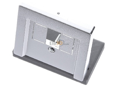 Ansicht oben vorne Merten 297960 Zentralplatte alu f�r TAE-Dose 