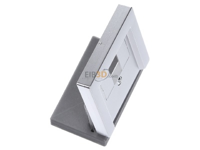 Ansicht oben links Merten 297960 Zentralplatte alu f�r TAE-Dose 