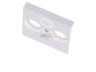 View up front Merten 297519 Central cover plate 
