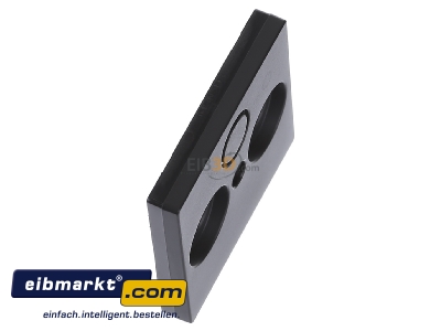 Ansicht oben links Merten 297514 Zentralplatte anth f�r Antennendose 