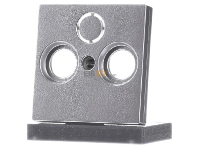 Frontansicht Merten 297560 Zentralplatte alu f�r Antennendose 