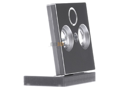 Ansicht links Merten 297560 Zentralplatte alu f�r Antennendose 
