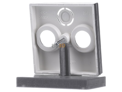 Ansicht hinten Merten 297560 Zentralplatte alu f�r Antennendose 