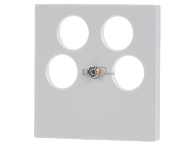 Front view Merten 295319 Central cover plate 
