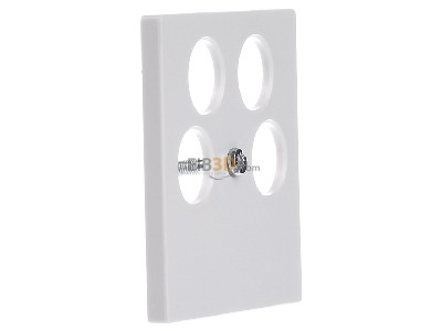 Ansicht links Merten 295319 Zentralplatte pws f.Antenn.Dose 4Loch 