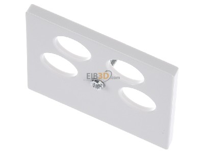 View up front Merten 295319 Central cover plate 
