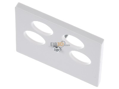 Ansicht oben vorne Merten 295319 Zentralplatte pws f.Antenn.Dose 4Loch 