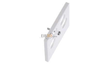 Ansicht oben links Merten 295319 Zentralplatte pws f.Antenn.Dose 4Loch 