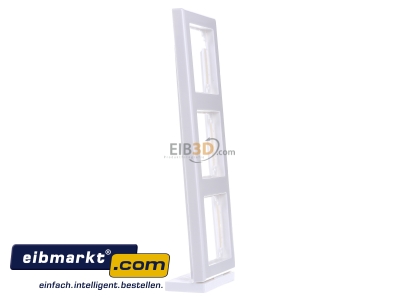 View on the left Merten 462319 Frame 3-gang white
