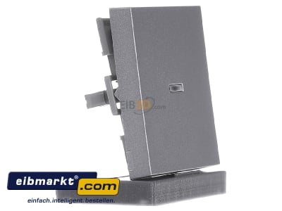 View on the left Gira 029026 Cover plate for switch/push button
