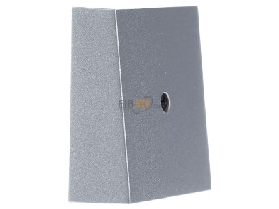 View on the left Gira 027426 Central cover plate 
