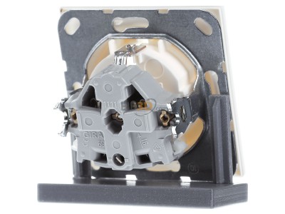 Back view Gira 018840 Socket outlet (receptacle) 
