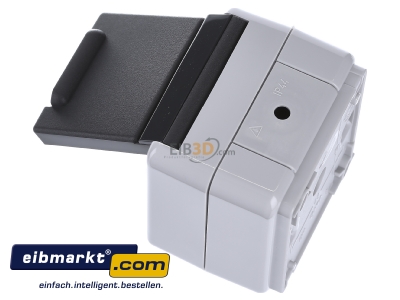 Ansicht oben rechts Gira 044030 Schuko-Steckdose gr AP-WG 