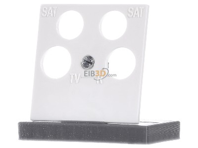 Front view Gira 025940 Central cover plate 
