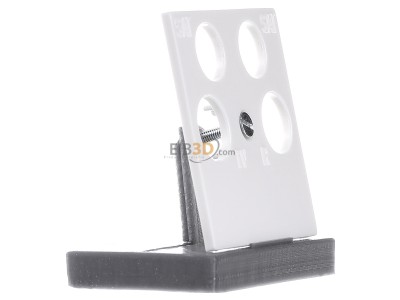 View on the left Gira 025940 Central cover plate 
