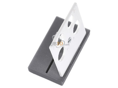 View top left Gira 025940 Central cover plate 
