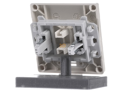 Back view Siemens 5TG6270 Cover plate for switch/push button 
