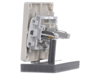 View on the right Siemens 5TG6275 Cover plate for switch/push button 
