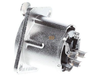 View on the right Jung CXLR-D Basic element with housing top XLR 
