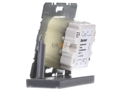 View on the right Berker 382610 Off switch 2x1-pole surface mounted 
