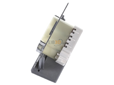 View top right Berker 382610 Off switch 2x1-pole surface mounted 
