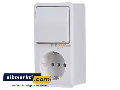 Front view Jung 676 A WW Combination switch/wall socket outlet
