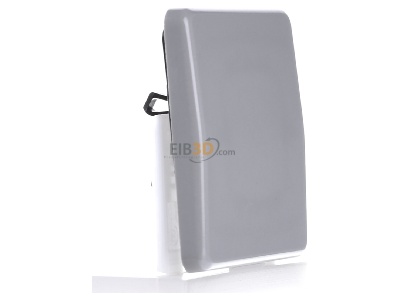 View on the left Jung CD 590 GR Cover plate for switch/push button grey 

