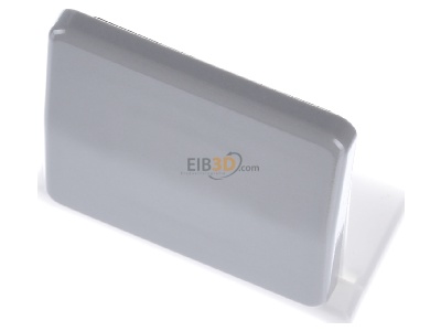 View up front Jung CD 590 GR Cover plate for switch/push button grey 
