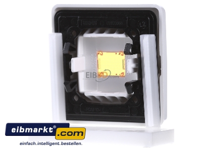 Ansicht hinten Jung CD 590 KO WW Wippe Lichtfenster aws fr Schalter/Taster 