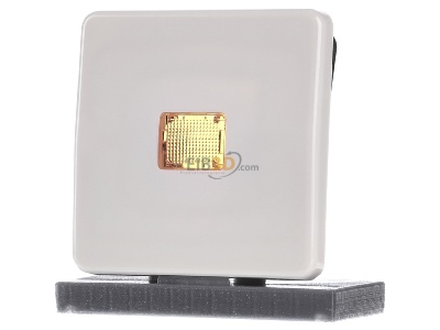 Front view Jung CD 590 KO Cover plate for switch/push button 
