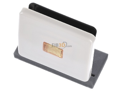 View up front Jung CD 590 KO Cover plate for switch/push button 
