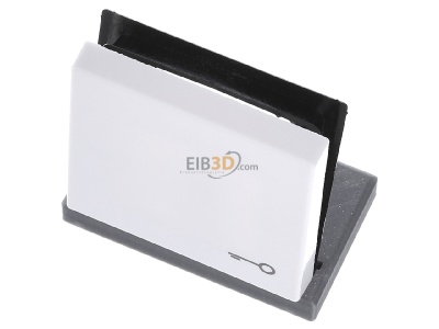 Ansicht oben vorne Jung A 590 T WW Wippe Symbol T�R aws f�r Taster 