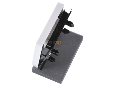 Ansicht oben rechts Jung A 590 T WW Wippe Symbol T�R aws f�r Taster 