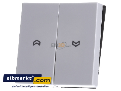 Frontansicht Jung A 595 P WW Wippe Symbole aws f�r Jal.Wippschalter 