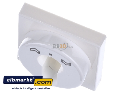 Ansicht oben vorne Jung A 528 PL WW Abdeckung aws f�r Schl�sselschalt. 