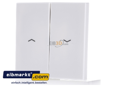 Frontansicht Jung LS 995 P WW Wippe Symbole aws f�r Taster 