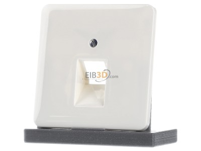 Frontansicht Jung 569-1 UA Abdeckung ws f�r IAE/UAE-Dose 