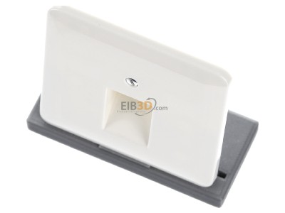 Ansicht oben vorne Jung 569-1 UA Abdeckung ws f�r IAE/UAE-Dose 