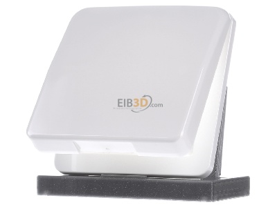 Frontansicht Jung CD 590 BFKL WW Klappdeckel aws mit R�ckstellfeder 