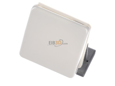 Ansicht oben vorne Jung CD 590 BFKL Klappdeckel ws mit R�ckstellfeder 