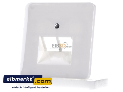Frontansicht Jung CD 569-2 UA WW Abdeckung aws f�r IAE/UAE-Dose 